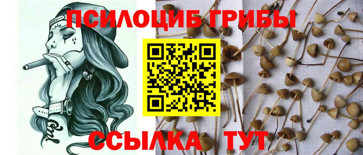 Псилоцибиновые грибы Magic Shrooms  Галлюциногенные грибы мухоморы  Ирбит  Вход с VPN 